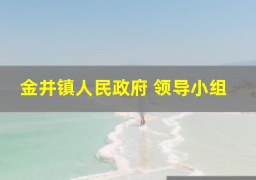 金井镇人民政府 领导小组